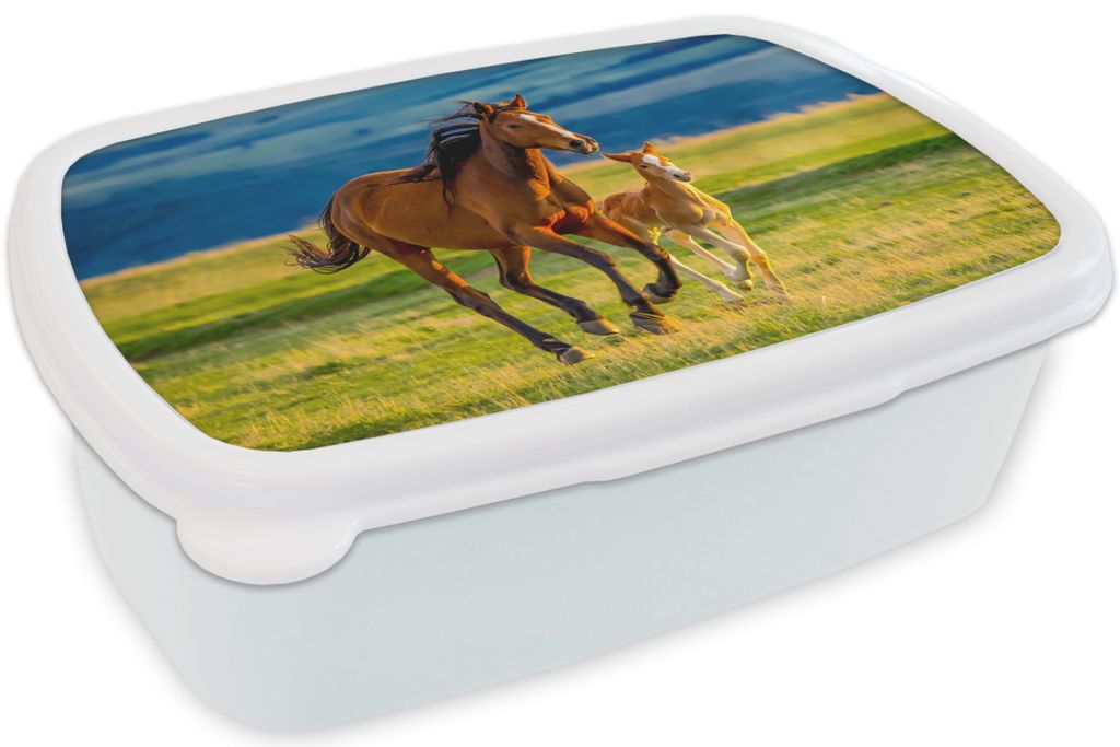 KitchenYeah Lunchbox Brotzeit Brotdose 17x11 cm Pferde - Gras - Tiere - Landschaft - Natur Kinder Brotzeitdose - Lunch Box - Kinder - Sandwich-Bo...