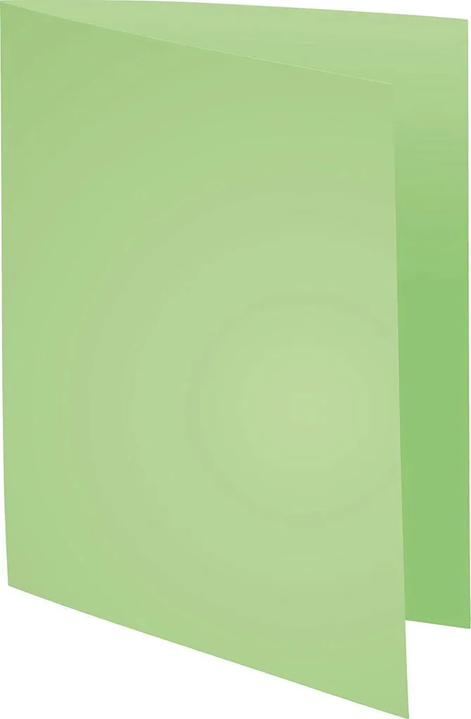 Chemise A4 pour Organisation de Bureau - Coloris Vert Gazon 180g RAINEX