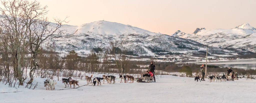 hansepuzzle 72931 - Rodeln Panorama-Puzzle 2000 Teile | Reisen Puzzle, 2028 Teile, Reisen, 60,0 x 46,0cm mit hochwertiger Aufbewahrung, Kartonbox &...