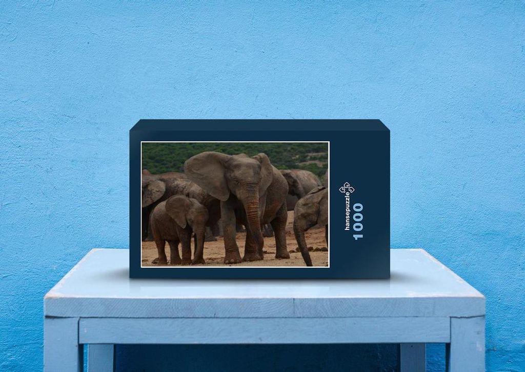hansepuzzle 87337 - Elefanten Puzzle, 1000 Teile, Tierwelt, 60,0 x 46,0cm mit hochwertiger Aufbewahrung, Kartonbox und wiederverschließbarem Beutel
