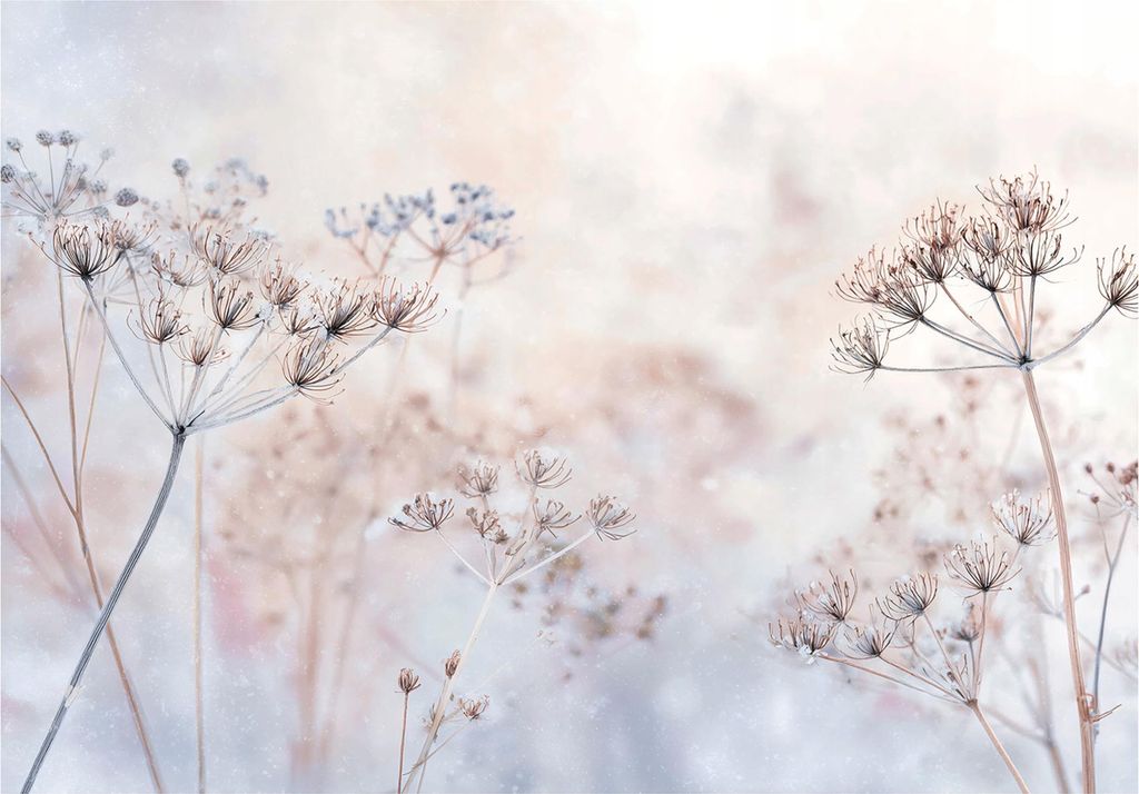 Fototapete Blumen Pusteblumen Natur - 400x280 cm - Vliestapete Wohnzimmer Schlafzimmer - Vlies Fototapete Beige - 15957VX8