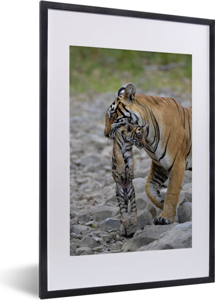 MuchoWow MuchoWow Gerahmtes Poster Tigerin mit ihrem Jungtier 40x60 cm - Poster mit zchwarzem Bilderrahmen - Poster in Rahmen