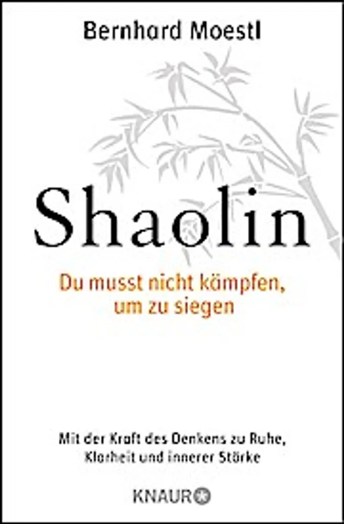 Shaolin : Comment Gérer les Conflits et Réussir par la Force Intérieure
