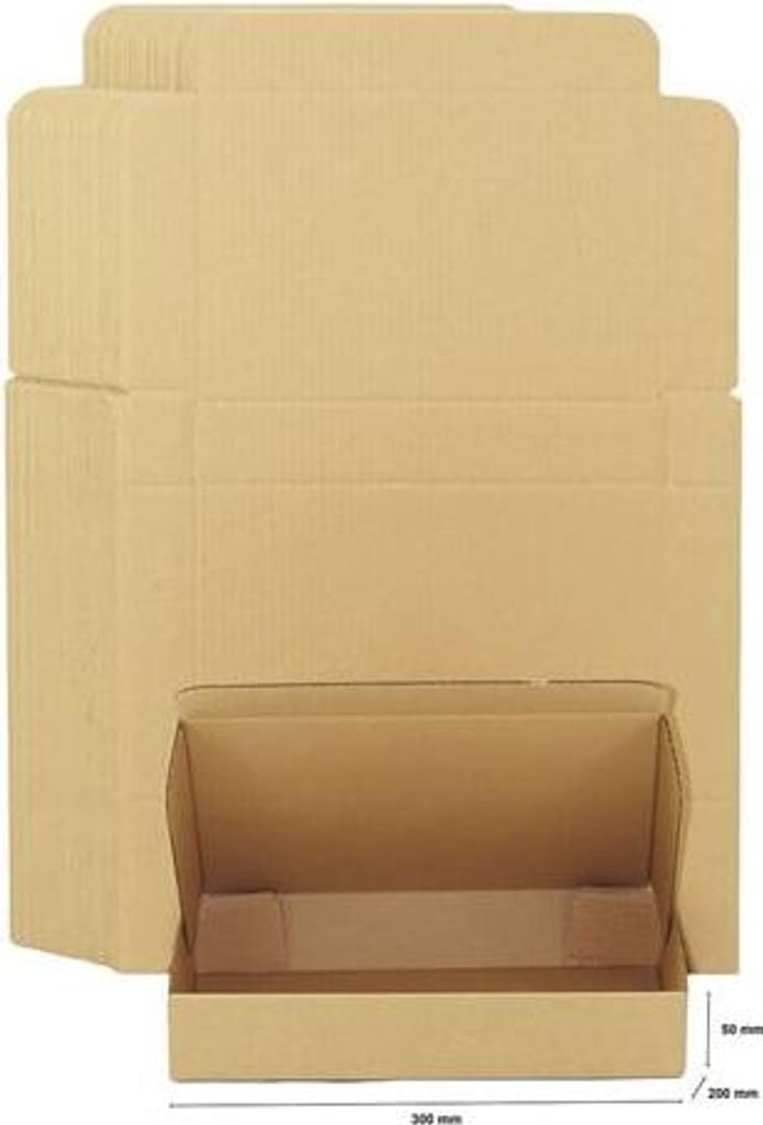 Karton 300 x 200 x 50 mm, 10 Stück Kartonbox, STANZFORM, Kraft, Größe A