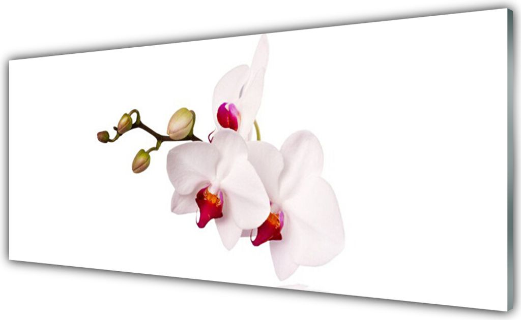 Acrylglasbilder 125x50 Wandbild Druck Blumen Pflanzen