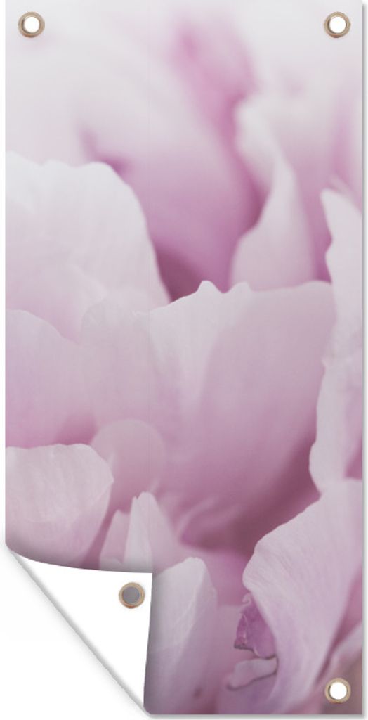 MuchoWow 30x60 cm Outdoor-Poster Gartendeko Sichtschutz Garten Poster für den Garten Nahaufnahme einer rosa Pfingstrose
