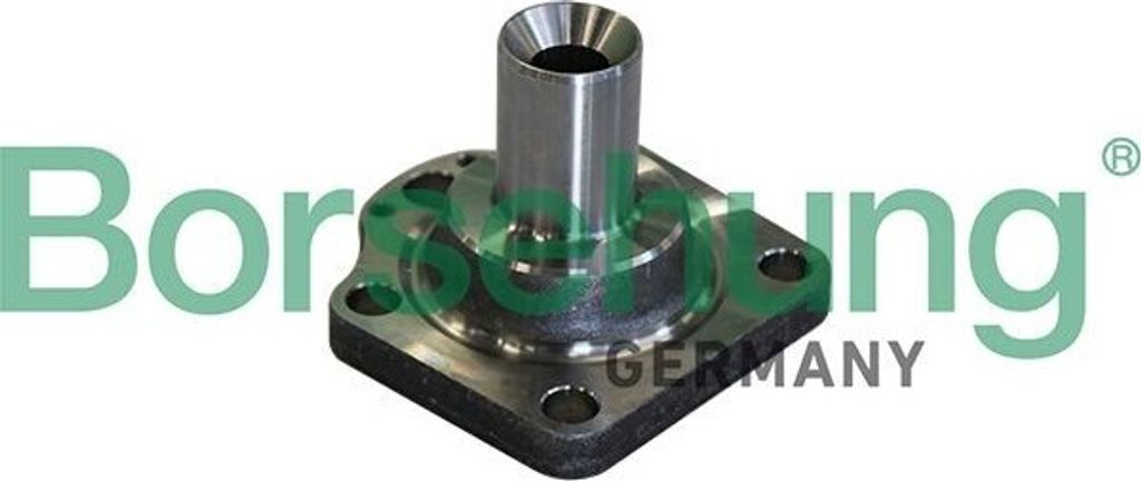 Borsehung B11291 Radnabe Hinten für VW POLO (AW1, BZ1)