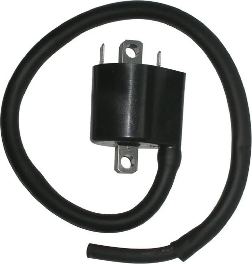 Acquista Bobina SGR 12V 3,6 OHM Cavo 40cm | Spedizione Rapida Ricambi