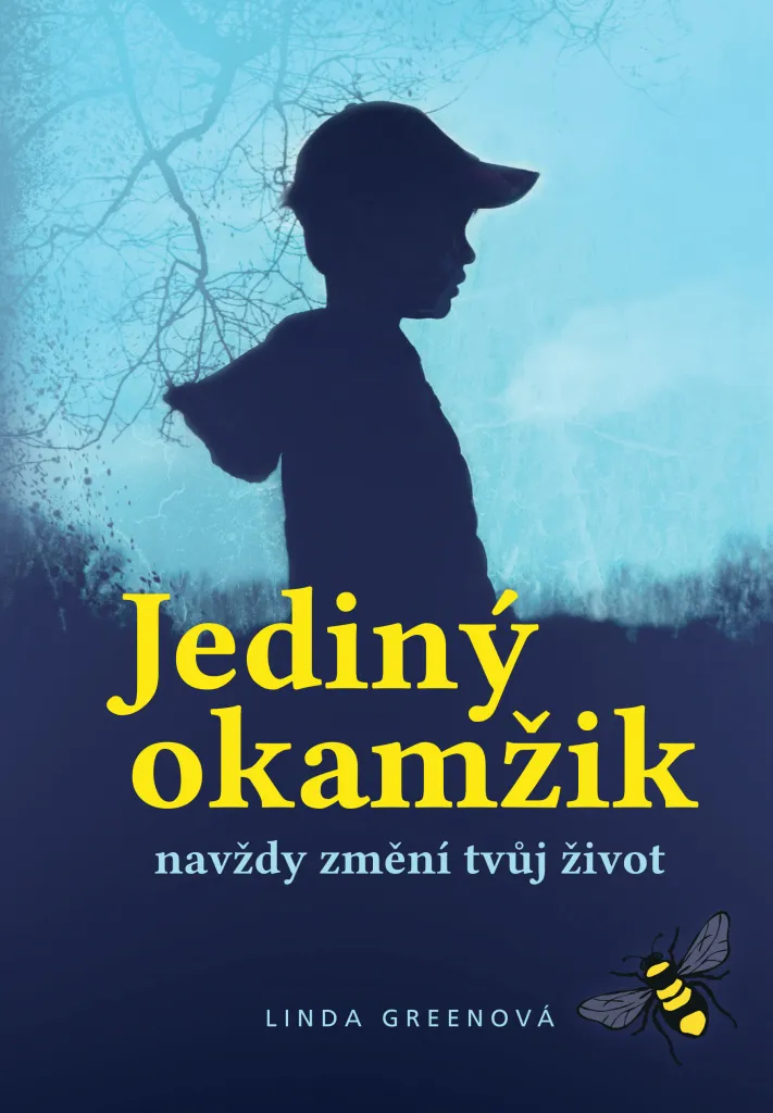 Jediný okamžik par Linda Green - Roman Suspense Psychologique Captivant