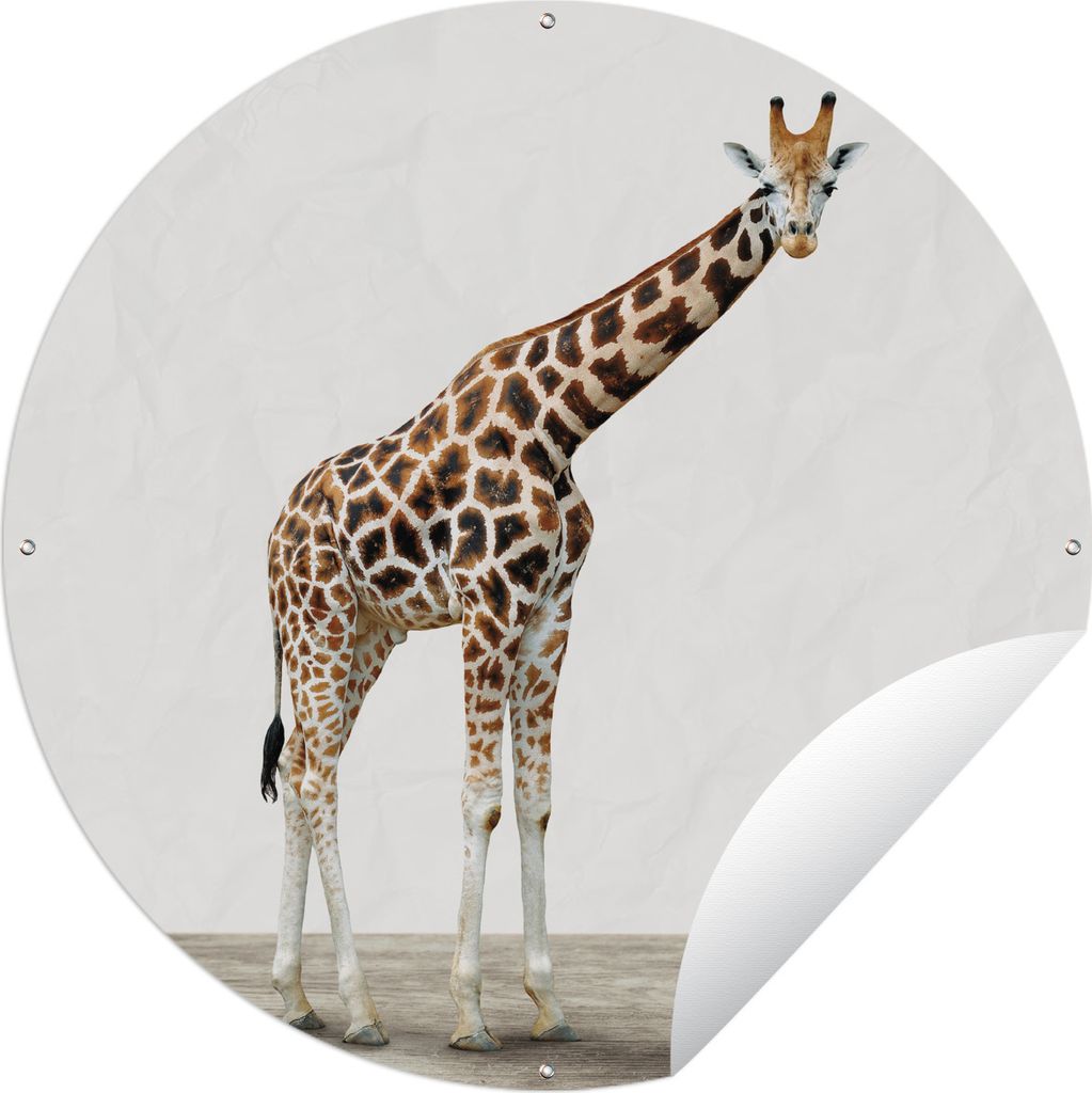 MuchoWow Gartenposter Outdoor-Poster Rund Tier - Giraffe - Weiß Ø 120 cm Gartendeko Rundes Poster draußen