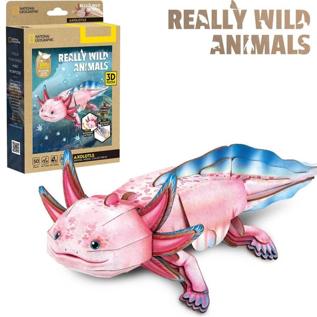 Puzzle 3D National Geographic Axolotl, 50 stukjes - Cubic Productafbeelding 
