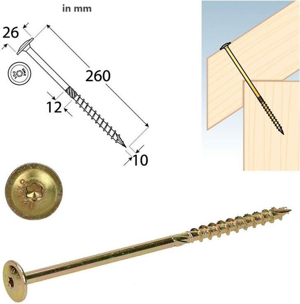 Tellerkopfschrauben 10x240 Konstruktionsschrauben - Holzschrauben Set 200 Stück
