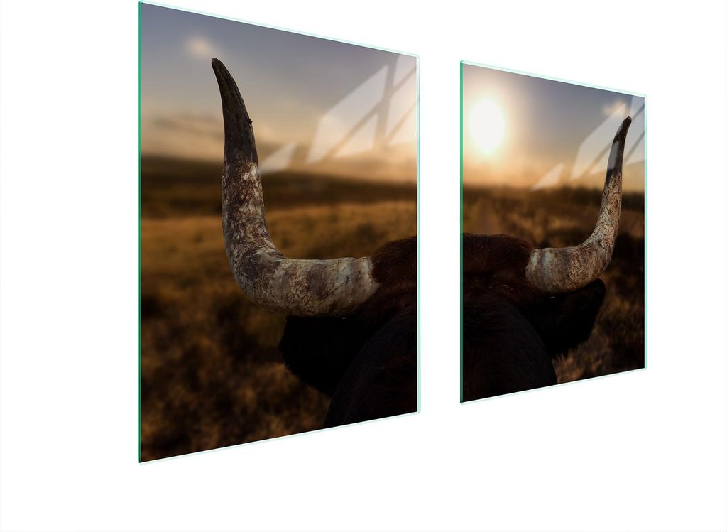 Glasschutzplatte Für Herd 85X52 Sun