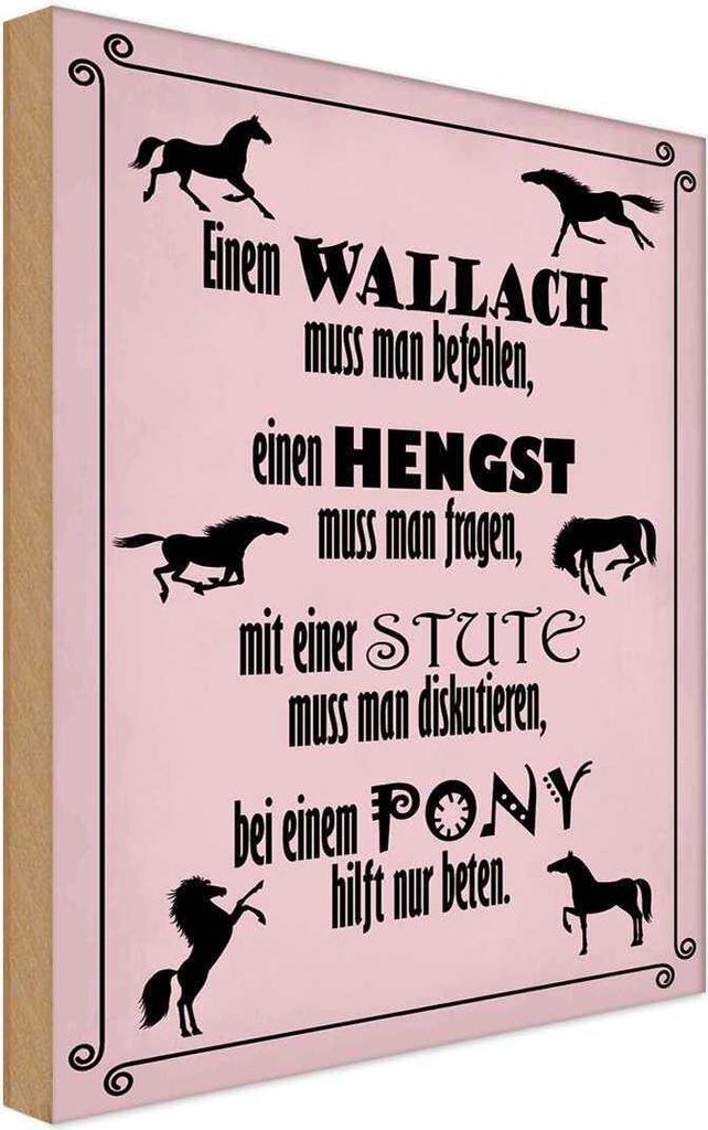 vianmo Holzschild 40x30 cm Pferde Wallah Hengst Pony Stute Tier Haustier