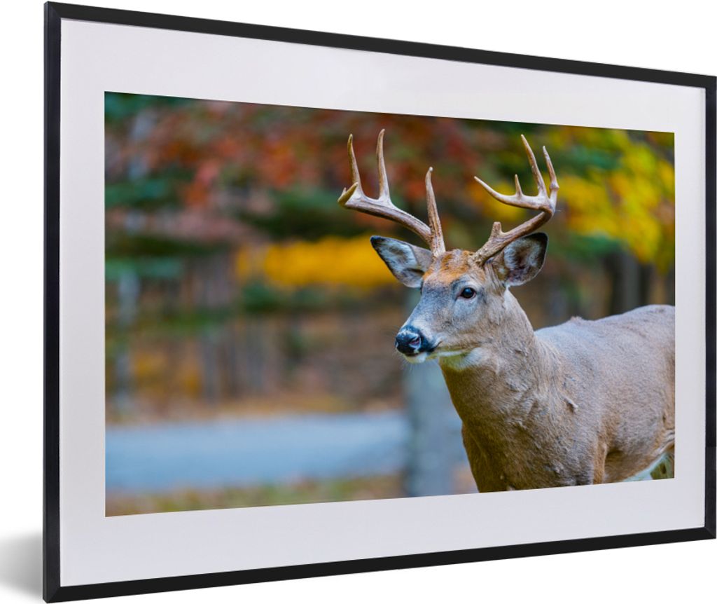 MuchoWow MuchoWow Gerahmtes Poster Tierkopf - Hirsche - Wasser 60x40 cm - Poster mit zchwarzem Bilderrahmen - Schlafzimmer - Plakat in Rahmen -...