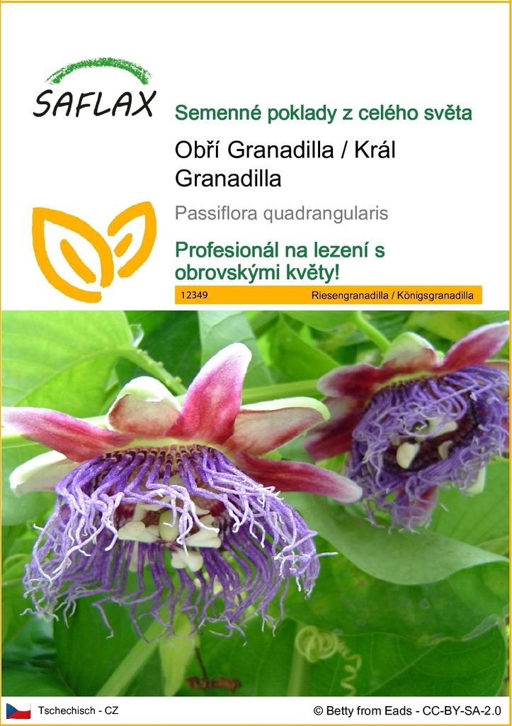 SAFLAX - Obří Granadilla / Král Granadilla - Passiflora Obrázek produktu 