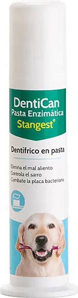 Dentican Enzymatische Zahnpasta 100Ml Produktbild 