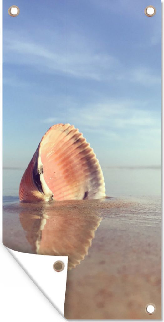 MuchoWow 80x160 cm Outdoor-Poster Gartendeko Sichtschutz Garten Poster für den Garten Muschel - Strand - Meer