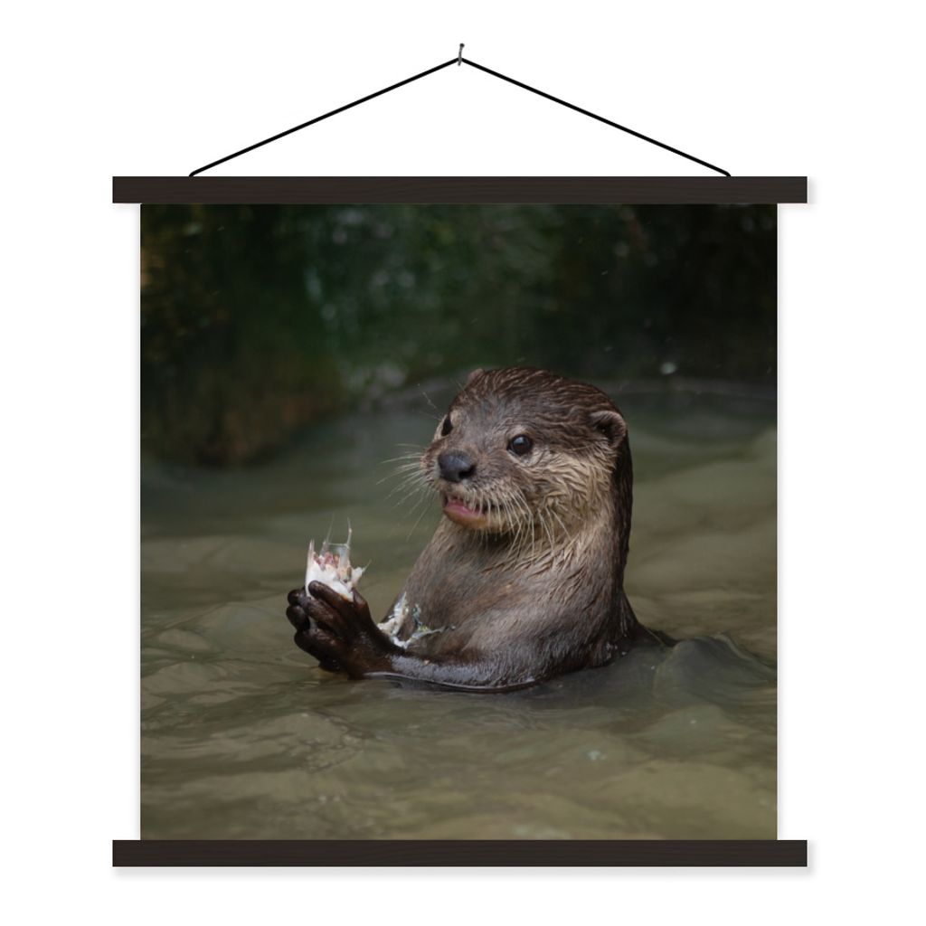 MuchoWow Textilposter Otter mit Futter im Wasser 40x40 cm mit schwarzem Rahmen - Fotos