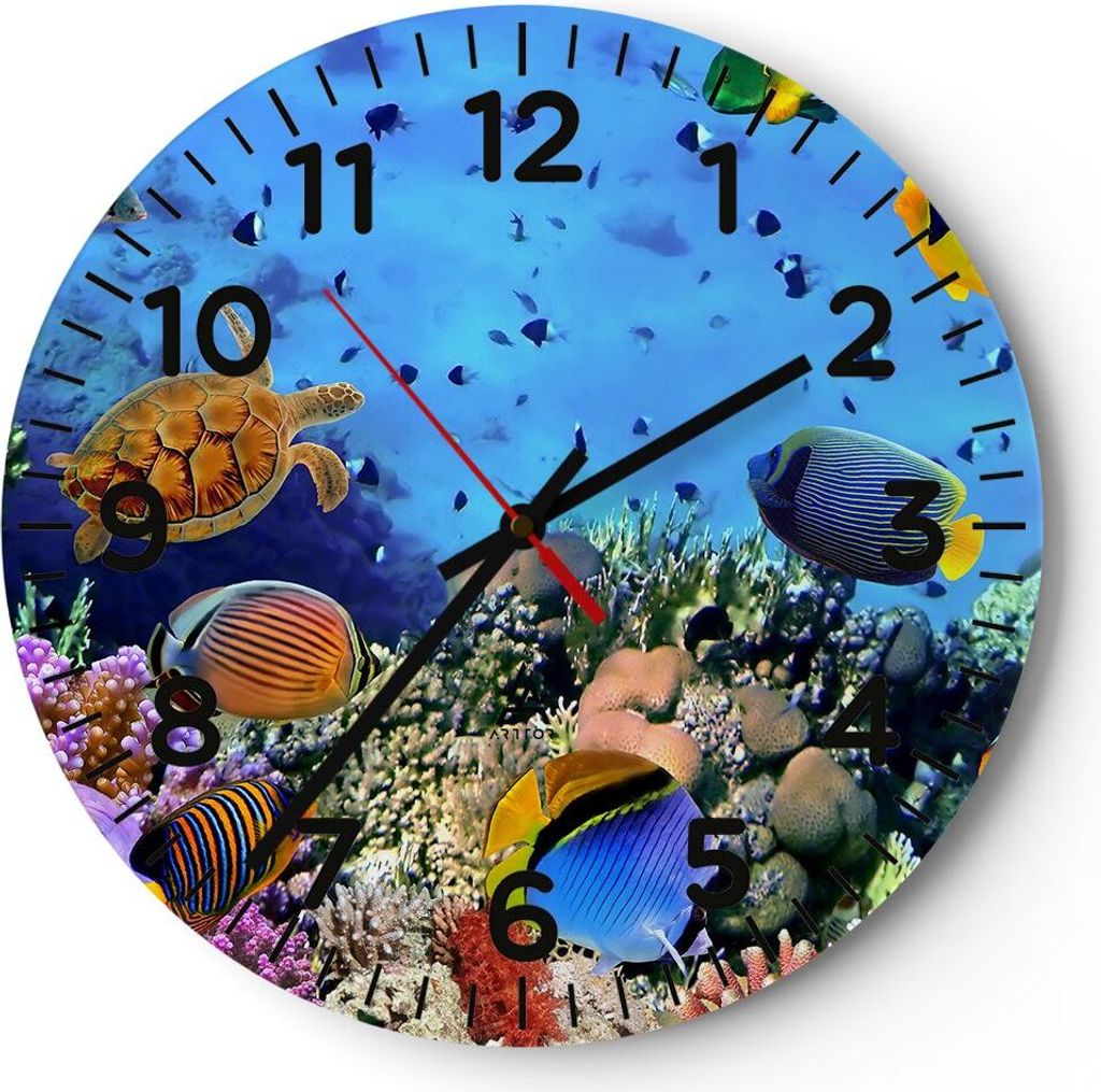Wanduhr - Rund - Glasuhr - Korallenriff - 30x30cm - Schleichendes Uhrwerk - Lautlos - zum Aufhängen bereit - Dekoration Modern - Wanddekoration au...