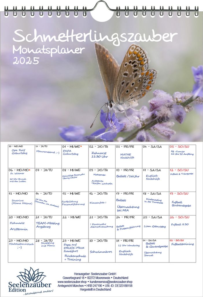 Schmetterlingszauber Planer DIN A4 Kalender für 2025 Schmetterling - Seelenzauber