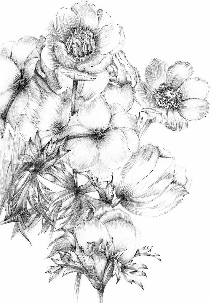 Komar Fototapete Embroidery Schwarz-Weiß - 611112 - 184 x 248 cm