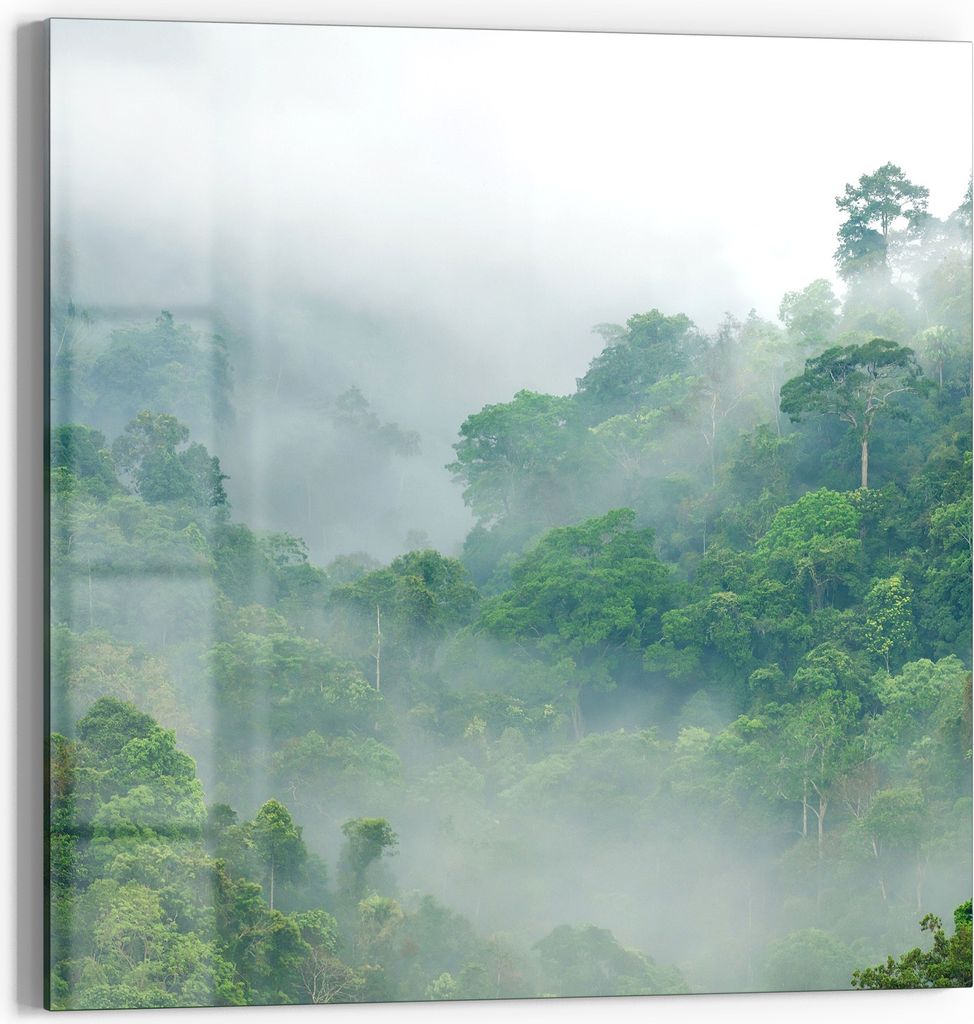 DEQORI Glasbild Echtglas 30x30 cm 'Thailands Mystik' Wandbild Bild modern Deko