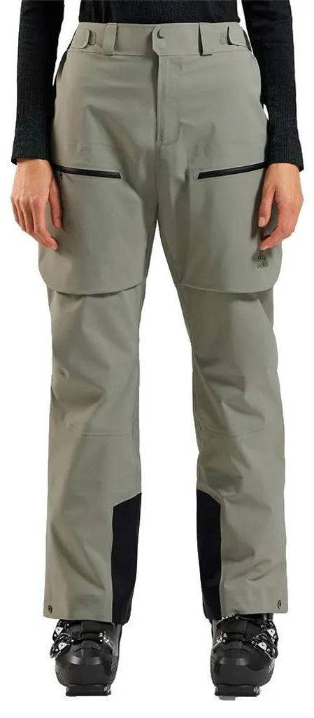 The X-alp 3L Hardshell Snow Pants shadow (10876) 42