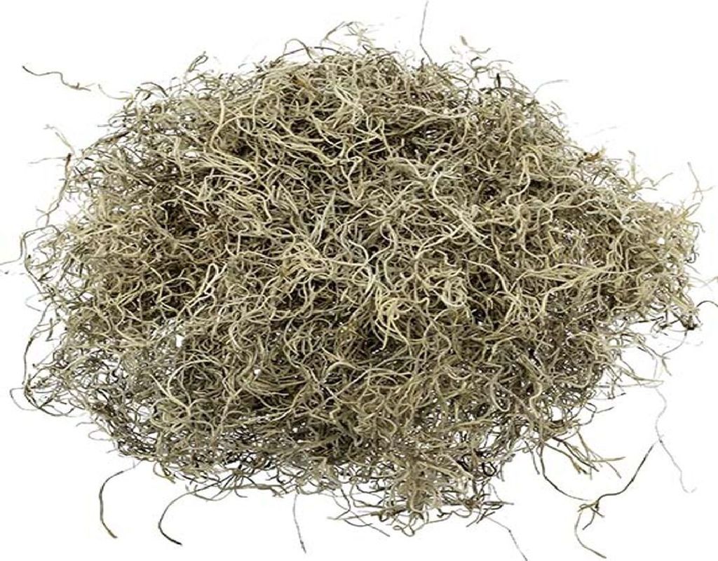 Dschungelmoos Natur 1kg gereinigt und präpariert - 55,73 € Produktbild 