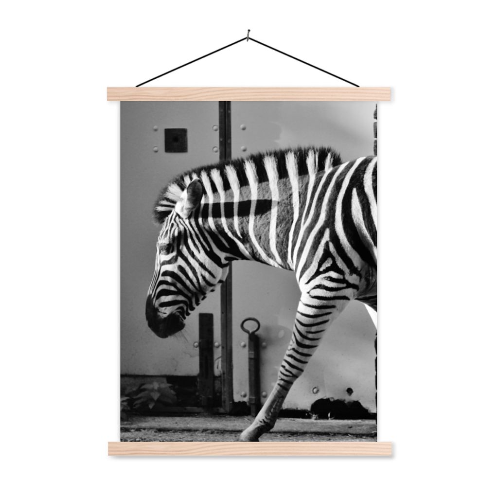 MuchoWow® Textilposter Zebra - Wand - Tür - Tiere - Schwarz Produktbild 