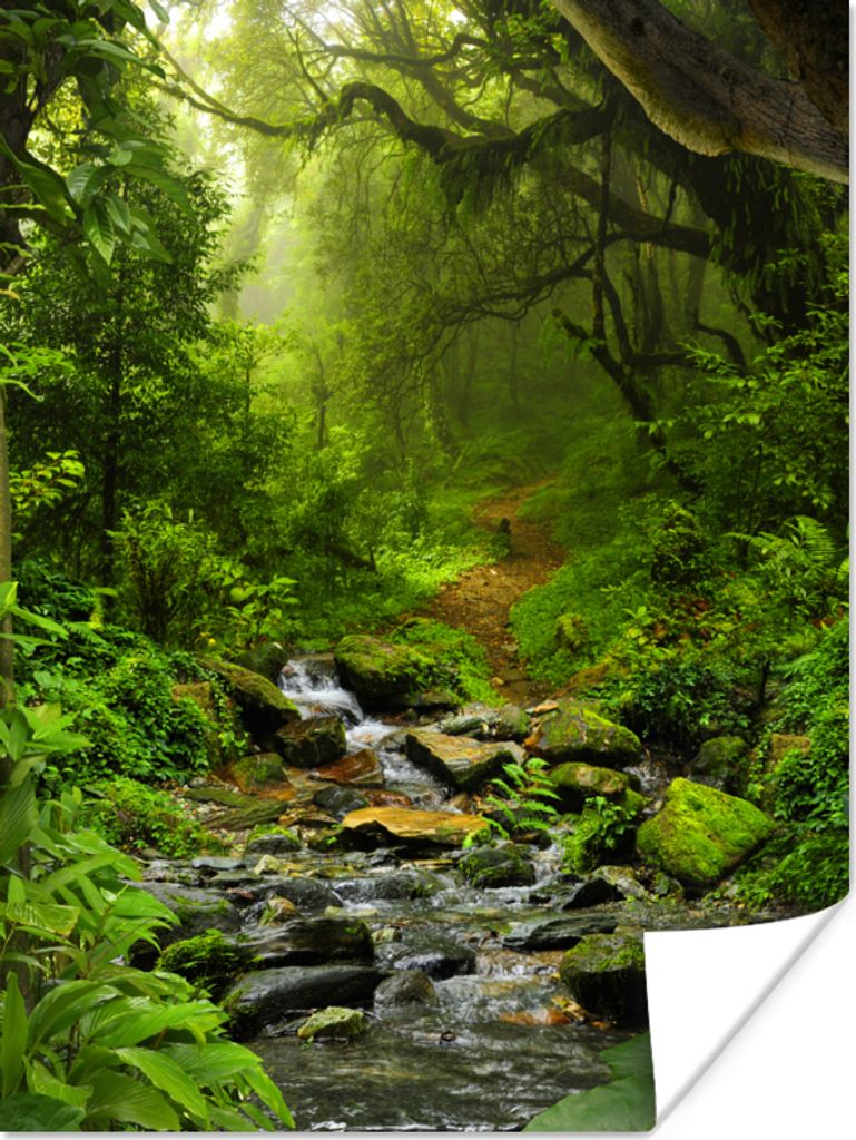 MuchoWow Poster Natur - Wasser - Dschungel - Wald - Tropisch 90x120 cm - Wohnzimmer