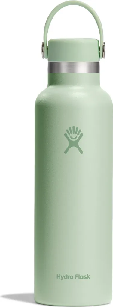 Borraccia Sportiva Hydro Flask 21 OZ Aloe - Acciaio Inox Termico