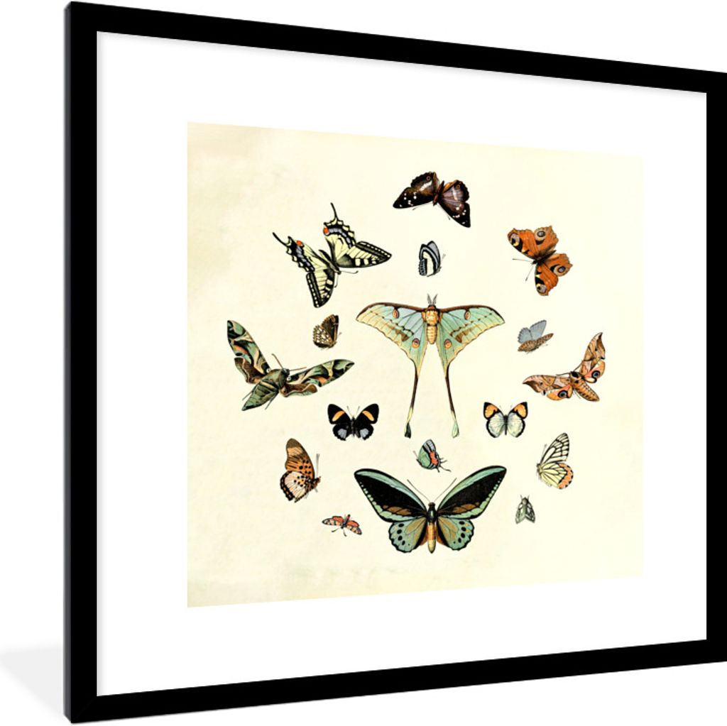 MuchoWow Gerahmtes Poster Schmetterling - Tiere - Vintage 40x40 cm - Poster mit Schwarzem Bilderrahmen Wandposter Rahmen Foto Bilder - Poster - P...