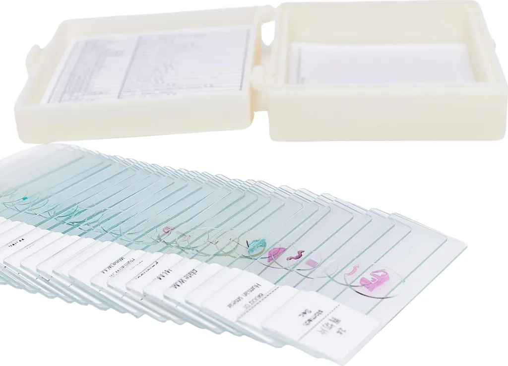 Coffret d'échantillons de microscopie (25 lames) - Tissus biologiques