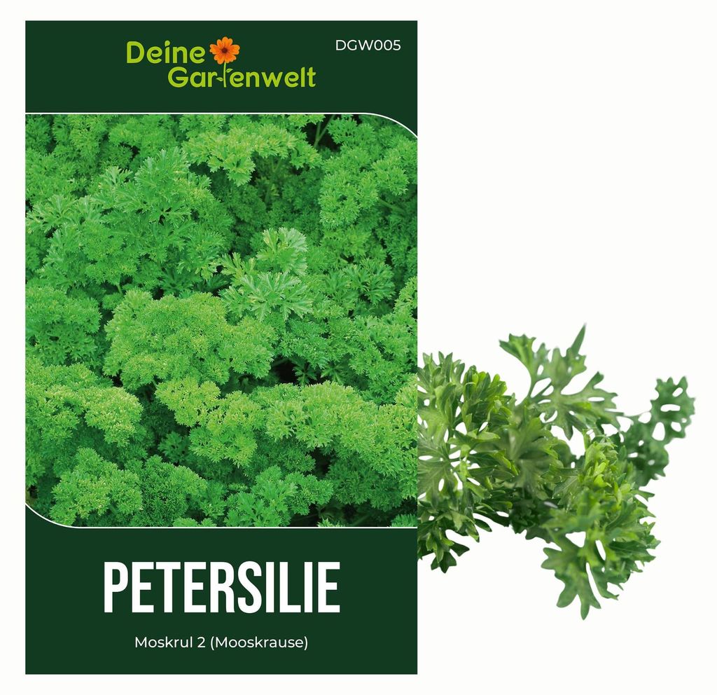 Petersilie Moskrul 2 (Mooskrause) Samen - Petroselinum Produktbild 