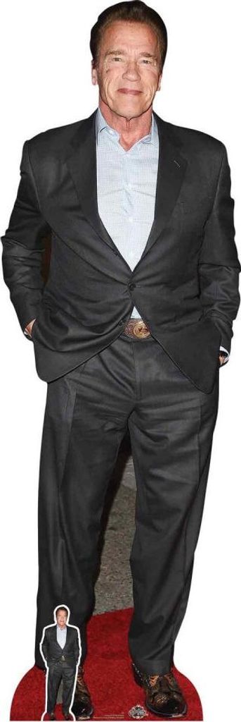 Figurine en carton Arnold Schwarzenegger 188 cm