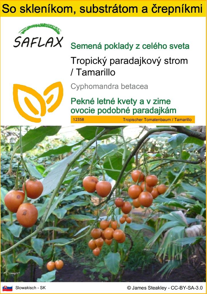 SAFLAX Kultivačný set - Tropický paradajkový strom / Obrázok produktu 