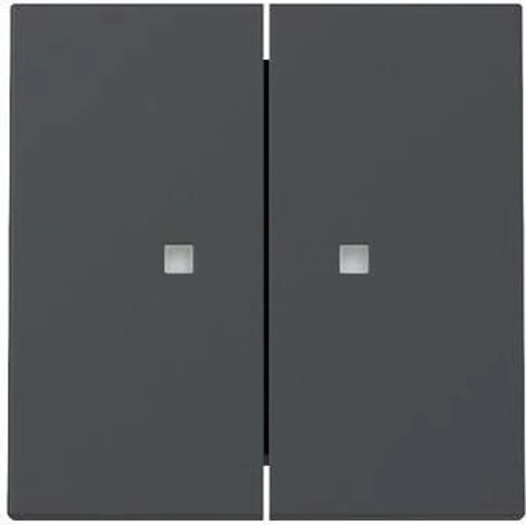 Double Bascule Système 55 Gira Anthracite pour Contrôle d'Éclairage