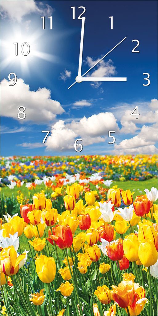 Wallario Design Wanduhr bedruckt, Größe 30 x 60 cm, Motiv: Tulpenwiese unter blauem Himmel