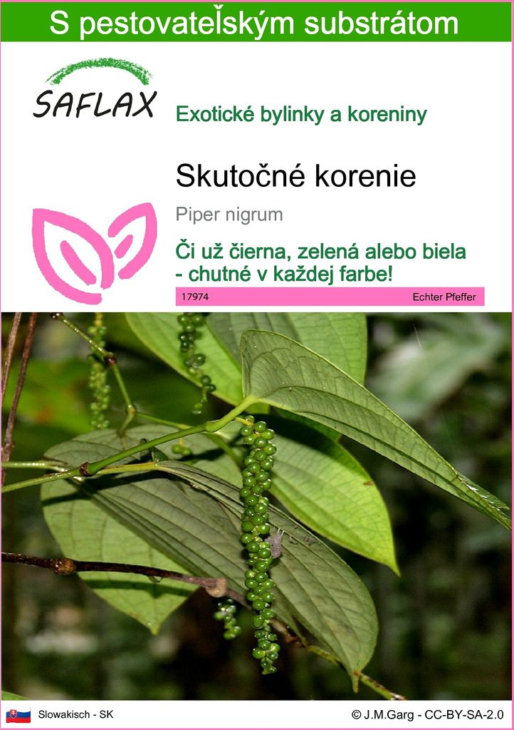 SAFLAX - skutočné korenie - Piper nigrum - 20 Semená - S Obrázok produktu 