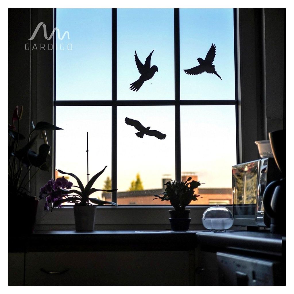 Vogelschutz Aufkleber | Vogelabwehr Aufkleber | Schwarz, 5 Stück | Für Fenster und Türen | Schutz vor Vogelschlag