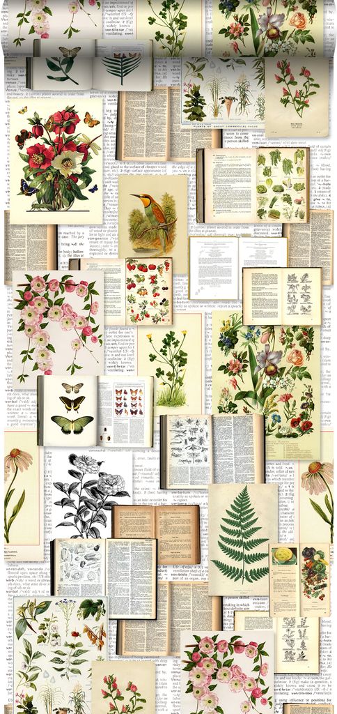 ESTAhome XXL-Vliestapete Seiten aus botanischen Büchern Crème-Beige, Grün, Braun und Ockergelb 50 x 900 cm