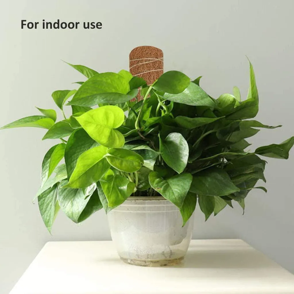 Tuteur coco naturel 450mm avec extension modulable pour Monstera - 4Pcs - 5
