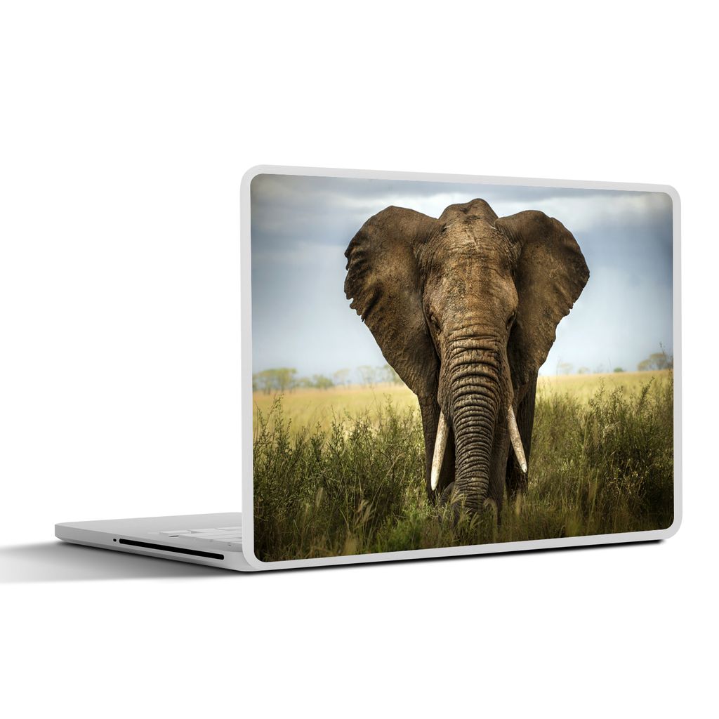 MuchoWow Laptop Aufkleber Sticker Cover Elefant - Natur - Gras - Tiere - Landschaft 31x22.5 cm - Laptop-Deko