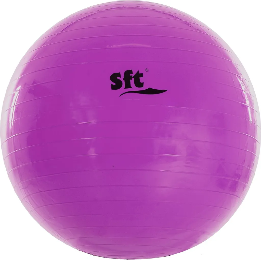 Balle Géante Softee Rose pour Soulager le Dos et Muscler la Sangle