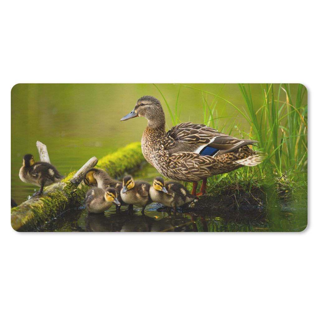 MuchoWow Mauspad Mousepad Ente - Vögel - Wasser - Zweig - Moos 60x30 cm - Mousepads - Maus Mat - Pad - Mausunterlage - Nachhaltig