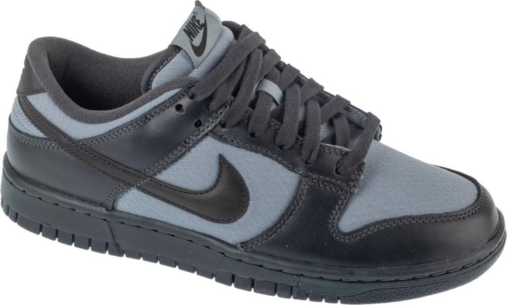 Schuhe Nike Dunk Low Retro Se FZ3052001