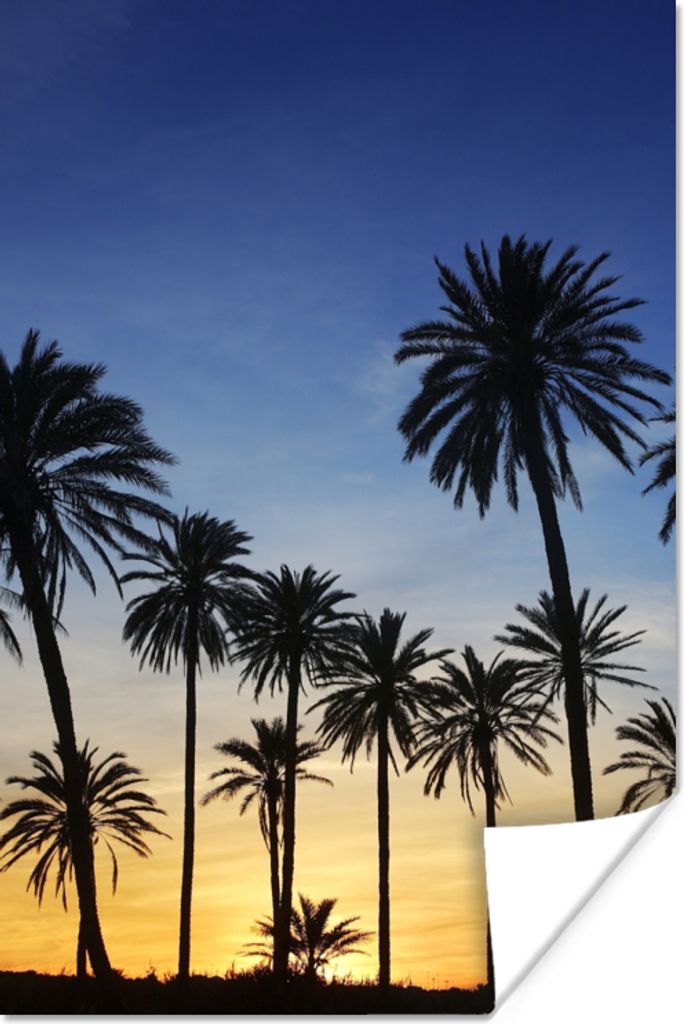 MuchoWow Poster Palme - Natur - Strand - Sonne - Nacht 80x120 cm - Papierdruck
