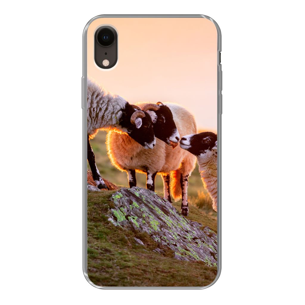 MuchoWow Handyhülle Schutzhülle Hülle für iPhone XR Schafe - Tiere - Sonnenuntergang Silikon Softcase Handy Hülle - Schutzdeckel