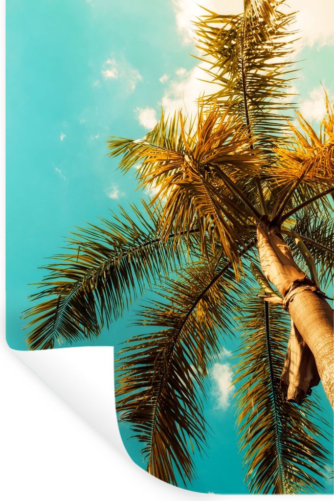 MuchoWow Wandtattoo Wandsticker Wandaufkleber Palme - Sommer - Tropisch 40x60 cm Selbstklebend und Repositionierbar - Wierderverwendbar - Selbstk...